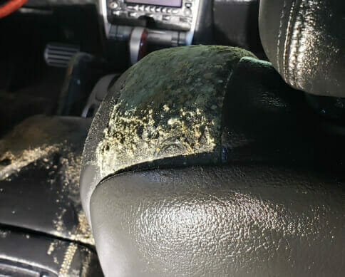 Bio-One Of Chattanooga is the right team for the job