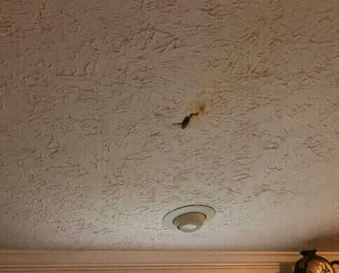 Bio-One Of Chattanooga is the right team for the job